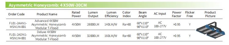 Asymmetric Honeycomb Flood Light Asymmetric Honeycomb Flood Light